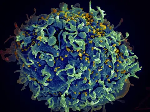 Some interesting facts about HIV and AIDS