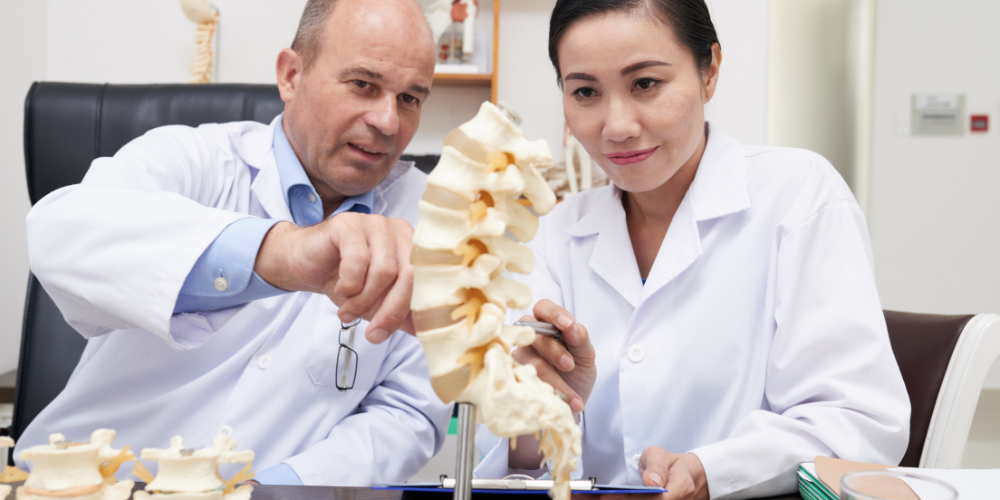 How Bones Communicate With the Body to Support Overall Health
