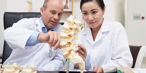 How Bones Communicate With the Body to Support Overall Health